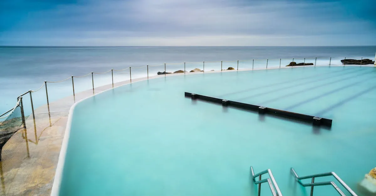 Piscine Natura : comment réussir un bassin naturel dans son jardin